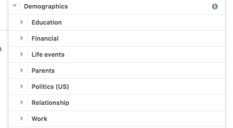 The demographic options to target audiences